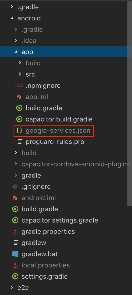Google Services JSON Location for Android